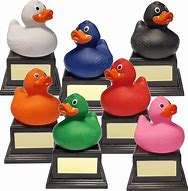 Image result for Duck Trophy