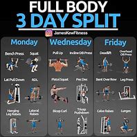 Image result for Body Part Split Workout