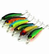 Image result for Fake Minnow Fishing Set Up