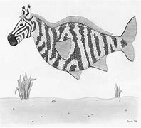 Image result for Zebra and Zebra with Tail of Fish