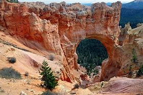 Image result for Bryce Canyon Arch