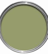 Image result for Sage Green Silk Paint