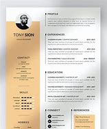 Image result for Super Cool Resumes