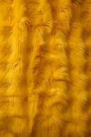 Image result for Yellow Fur Texture