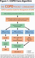 Image result for COPD Regimen