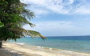 Image result for Amami Beach Resort