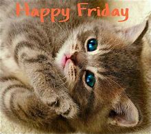 Image result for Happy Friday Cute Animals