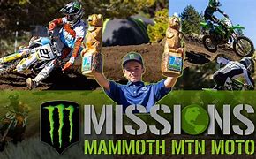 Image result for Mammoth MSM