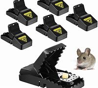 Image result for Water Traps for Mice