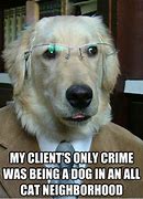 Image result for Dog Attorney Meme