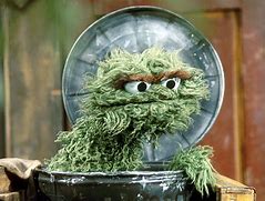 Image result for Oscar Trash Can