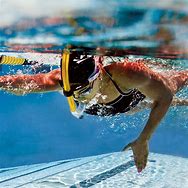 Image result for Snorkel in the Sea