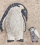 Image result for Shell Animals Art