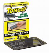 Image result for Tomcat Glue Boards