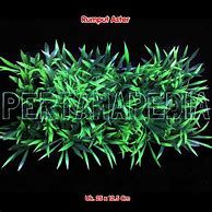 Image result for Rumput Plastik