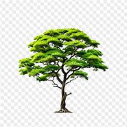 Image result for PSD Tree White