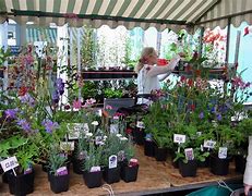 Image result for Selling Plants