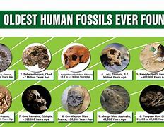 Image result for Oldest Human Skeleton Found