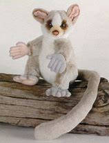 Image result for Galago Toy