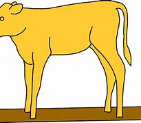 Image result for Golden Calf Clip Art