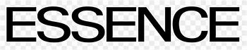 Image result for Essence Magazine Logo