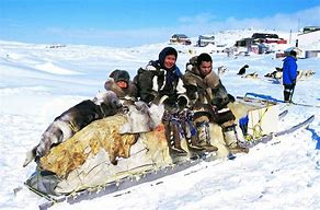 Image result for Inuit Mexicans