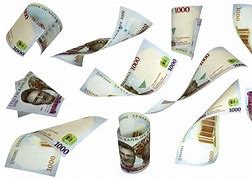 Image result for Flying Naira PNG