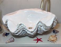 Image result for Clam Shell Sink