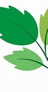 Image result for Miraa Leaves Clip Art