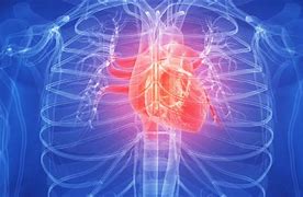 Image result for High Blood Pressure and Heart Disease