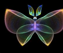 Image result for Butterfly Fractal