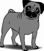 Image result for Thanksgiving Pug Black and White