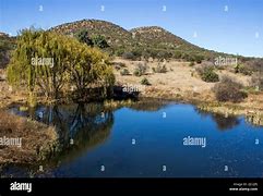 Image result for Farmers Dam