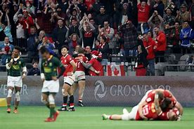 Image result for Rugby 7s Field