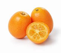 Image result for Kumquat Cumquat