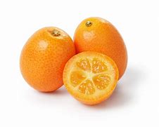 Image result for Large Kumquat