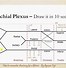 Image result for Brachial Plexus Innervation Chart