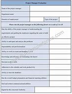 Image result for Project Manager Assessment Template