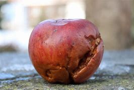 Image result for Rotten Apple Tamuning Guam Logo