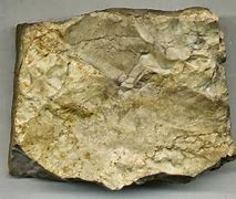 Image result for Sedimen Pasir