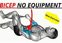 Image result for Bicep and Forearm