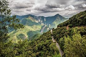 Image result for Sequoia National Park Road Trip