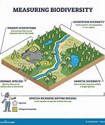 Image result for Biodiversity Diagram