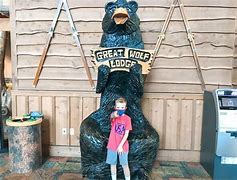 Image result for Great Wolf Lodge in Washington