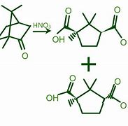 Image result for Camphor Condensed Structural Formula