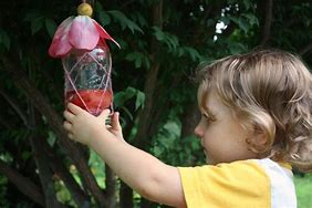 Image result for Butterfly Feeder