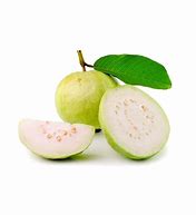 Image result for Mini Guava