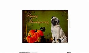 Image result for Thanksgiving Pug