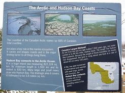 Image result for Arctic Tundra Habitat