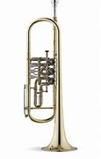 Image result for Rotary Trumpet